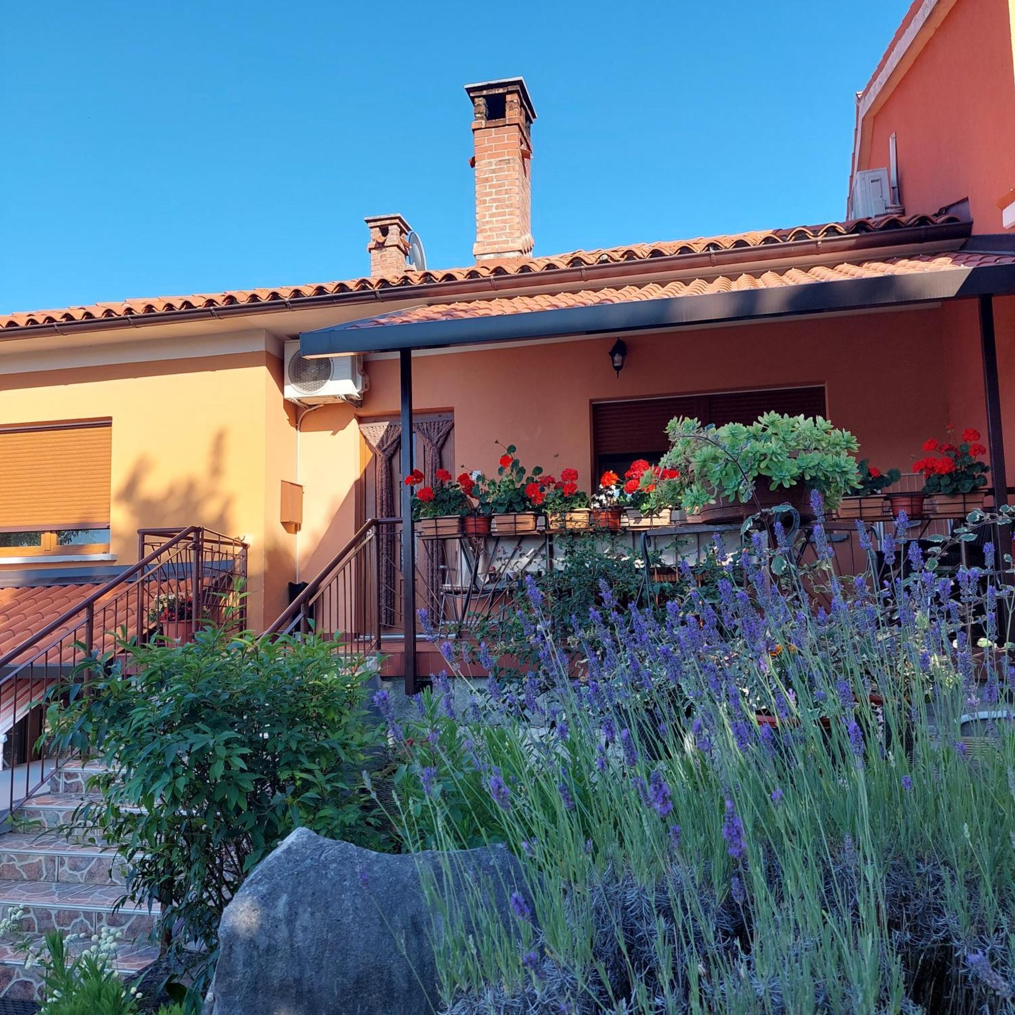 Apartman Branka Labin  Esterno foto